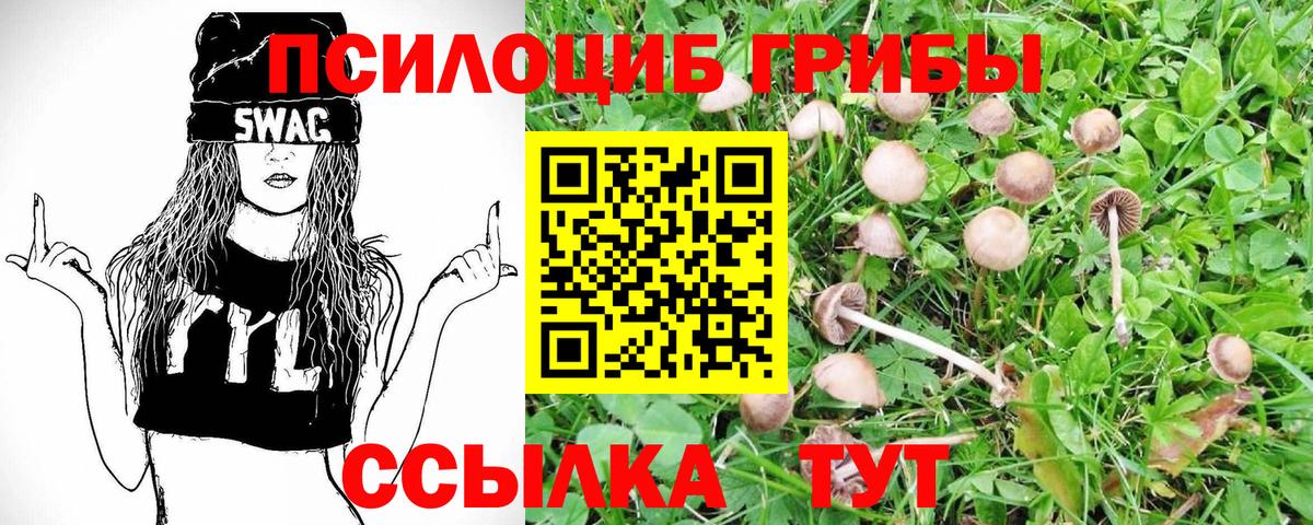 Галлюциногенные грибы Psilocybine cubensis Дзержинский