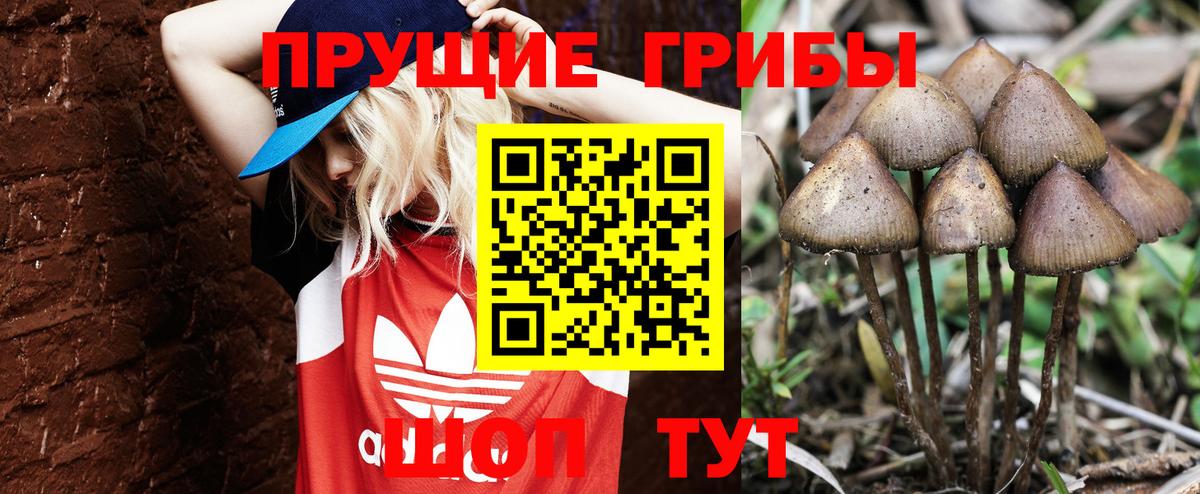 Дзержинский  Галлюциногенные грибы Psilocybe  Псилоцибиновые грибы мицелий  Вход с VPN 
